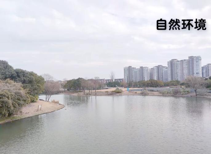 新江灣城灣谷_新江灣城釣魚地點_新江灣城釣龍蝦
