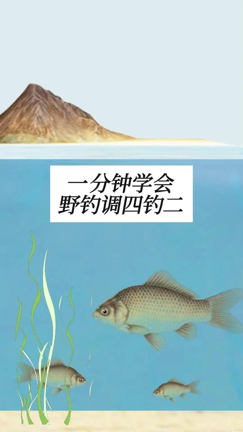 鯽魚怎么釣釣鯽魚的方法和技巧介紹_水草區域釣鯽魚方法_走釣鯽魚技巧
