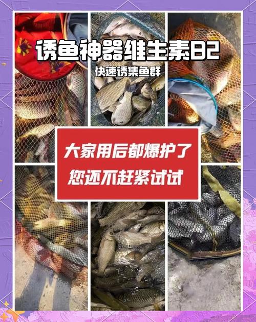 誘魚最快的西藥秘方_誘魚的西藥有哪幾種_西藥誘魚的科學研究