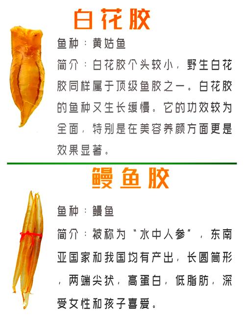 魚兒游游_魚兒為什么會游_魚兒游過來游戲