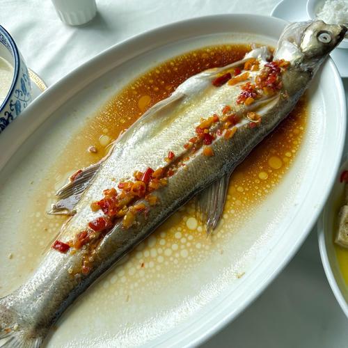 中國花鱸 日本真鱸 大口黑鱸_黑鱸是什么魚