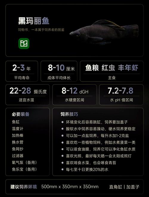 瑪麗魚黑色_黑瑪麗魚顏色變淺_黑瑪麗魚是什么魚