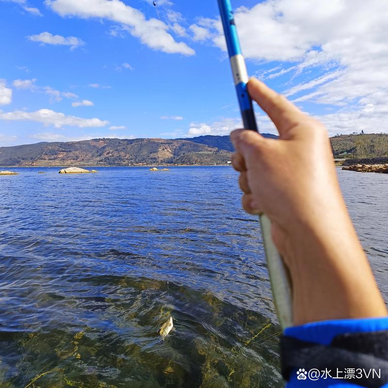 撫仙湖可以垂釣嗎_撫仙湖_撫仙湖釣魚攻略_撫仙湖可以釣魚嗎_撫仙湖野釣