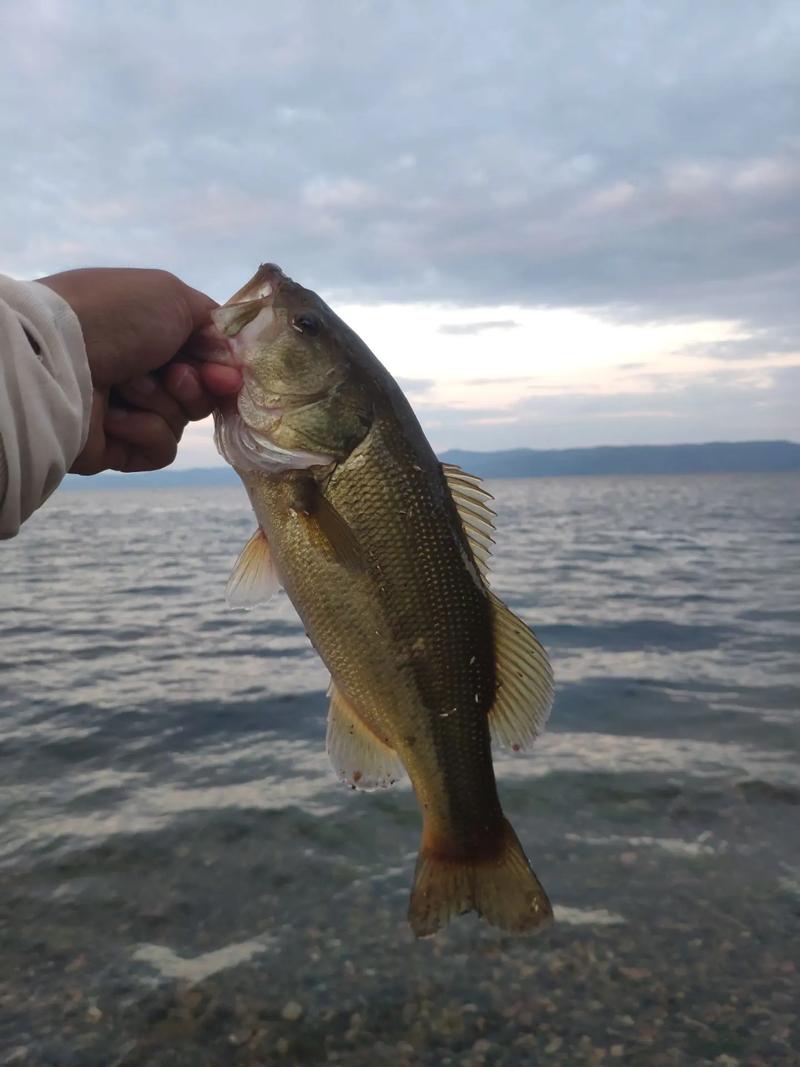 撫仙湖_撫仙湖釣魚攻略_撫仙湖可以釣魚嗎_撫仙湖可以垂釣嗎_撫仙湖野釣