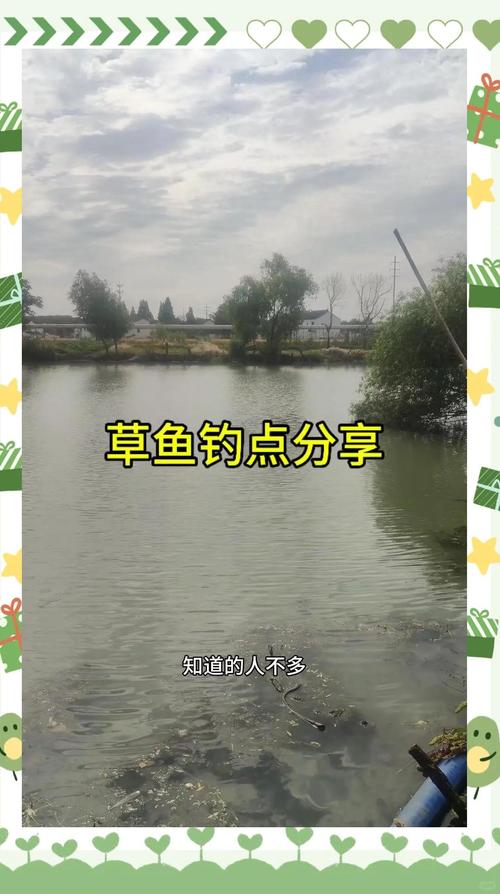 草魚春季餌料搭配_冬季釣草魚用什么餌最好呢_春季草魚釣位選擇