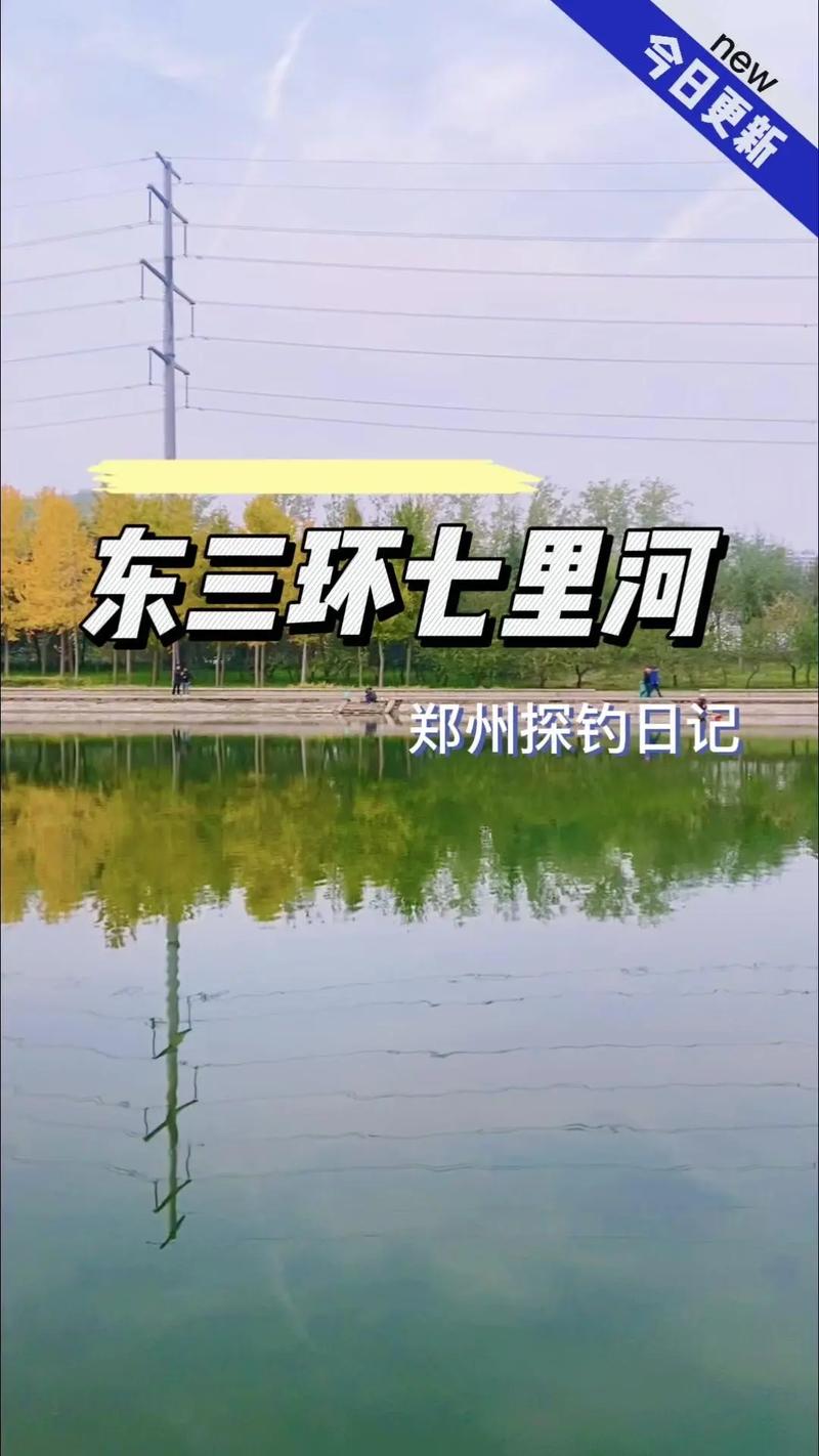 鄭州釣魚村在哪里_鄭州東區哪里讓釣魚_鄭州鄭東新區龍子湖附近釣魚地點