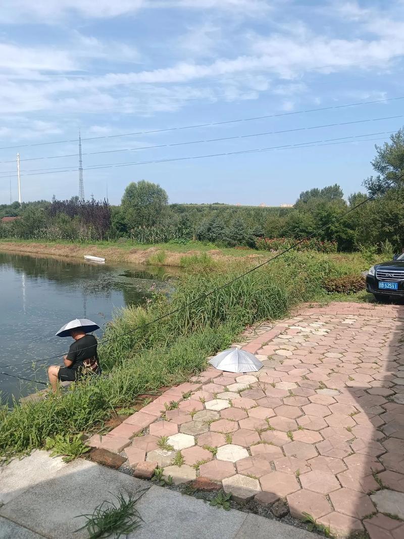 瀘州龍馬潭區哪里可以野釣_瀘州龍馬潭釣魚地點_龍馬潭區釣魚