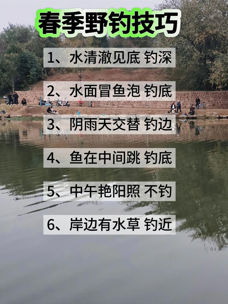 瀘州龍馬潭區哪里可以野釣_瀘州龍馬潭釣魚地點_龍馬潭區釣魚