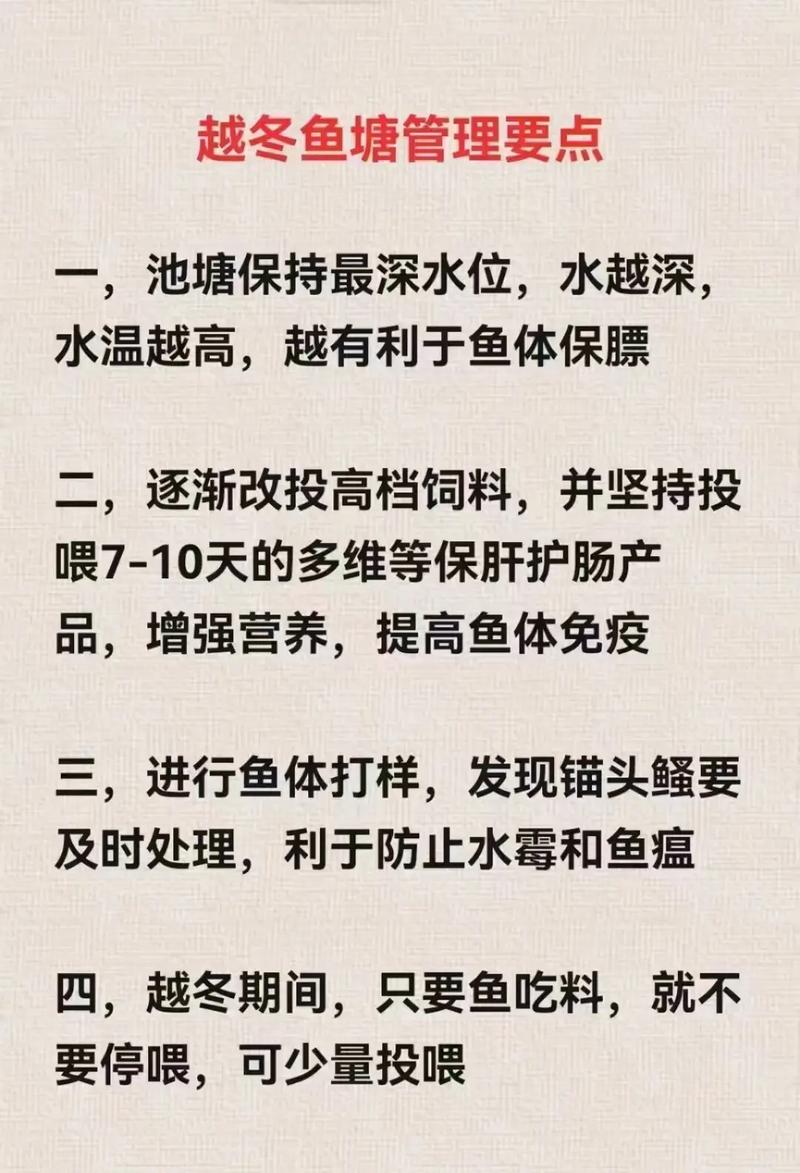 冬季水產養殖技術_冬季魚類養殖管理_黑魚養殖技術及病害防治