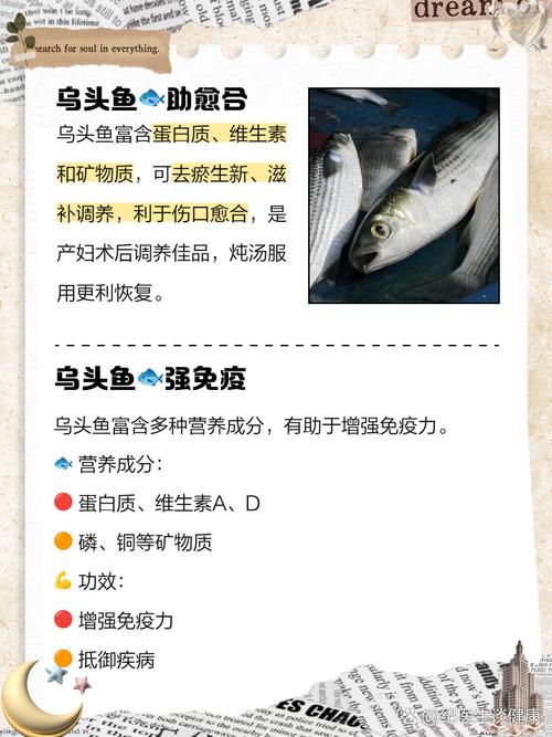 烏魚營養價值_黑魚養殖技術_烏魚生活習性