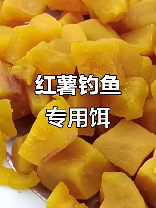 釣秋天餌料草魚用多大的鉤_釣秋天餌料草魚用幾號鉤_秋天釣草魚用什么餌料