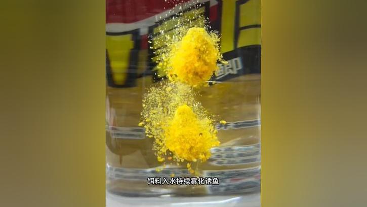釣大草魚餌料_秋天釣草魚用什么餌料?適合秋天釣草魚的幾種餌料_玉米粒紅薯蚯蚓面團釣草魚技巧