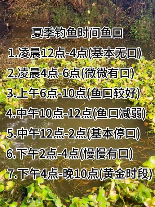 釣魚指數預報_今天釣魚指數查詢_釣魚指數查詢今天價格