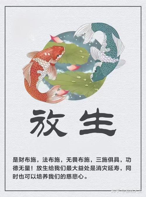北京放生寺廟_北京放生吧_北京放生者被找到