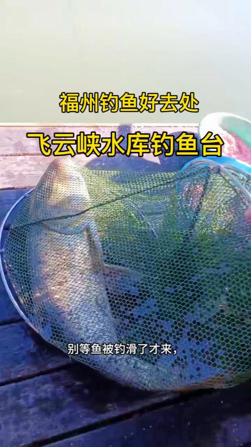 福州市區哪里可以野釣_福州周邊野釣_福州周邊野釣地點