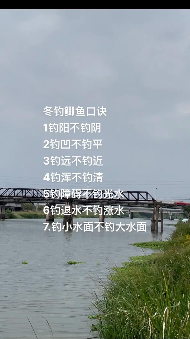 [十周年]深秋至初冬釣鯽魚技巧分享_鯽魚秋冬怎么釣_深秋鯽魚釣法視頻
