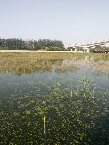 青島江河水利工程有限公司_黃島區河流分布圖_青島黃島區江河大全