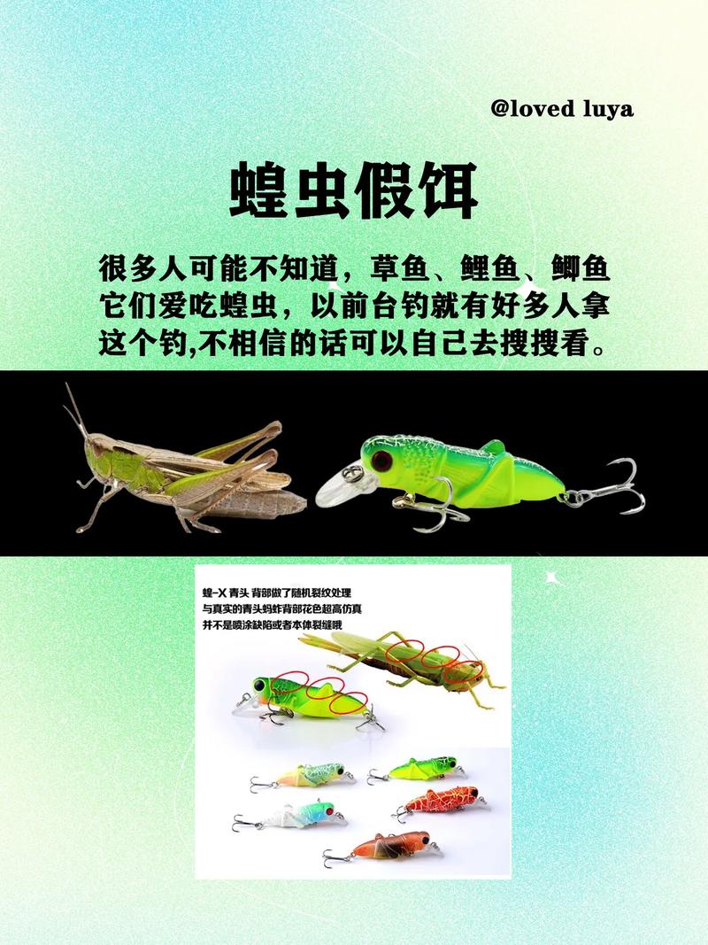 草魚用什么路亞_釣草魚用什么路亞竿_路亞釣草魚用什么餌比較好