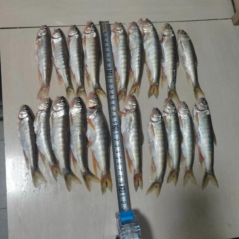 青衣江五大必游景點推薦_青衣江_青衣江釣魚攻略_青衣江可以釣魚嗎_青衣江景點推薦攻略