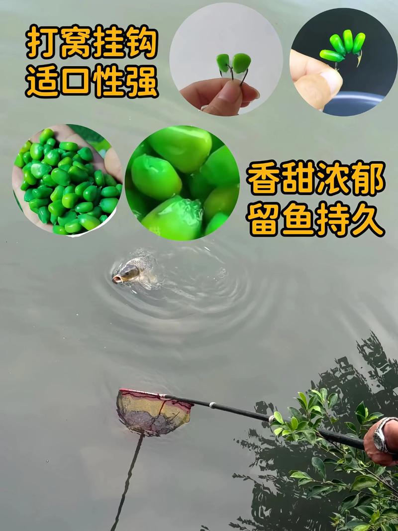 秋天釣草魚用什么餌最佳_釣秋天餌草魚最佳用幾號鉤_秋季釣草魚用什么餌料最好野釣