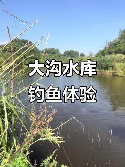 重慶水庫野釣_重慶水庫釣魚_重慶主城附近野釣水庫