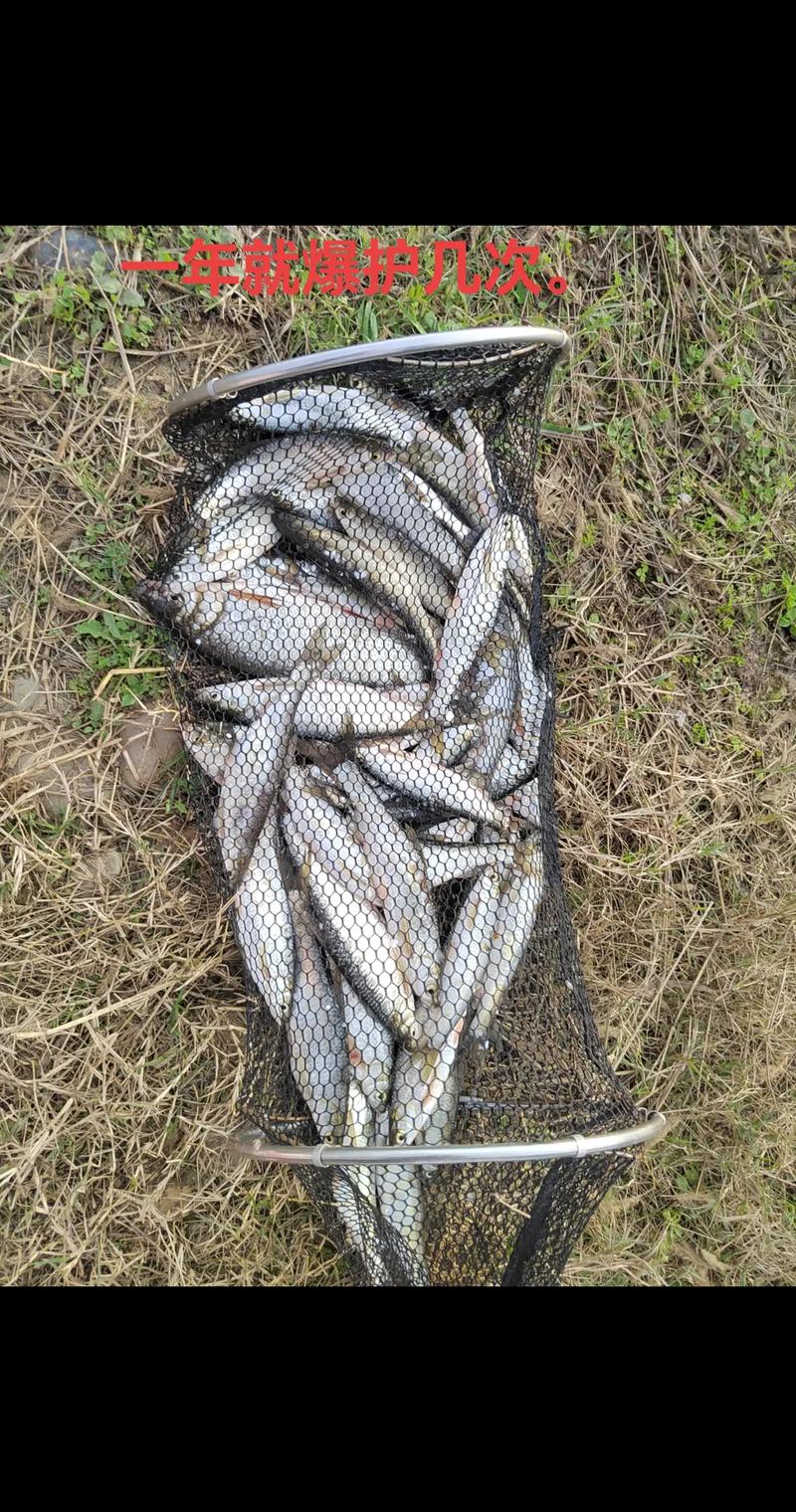 重慶水庫野釣_重慶主城附近野釣水庫_重慶水庫釣魚
