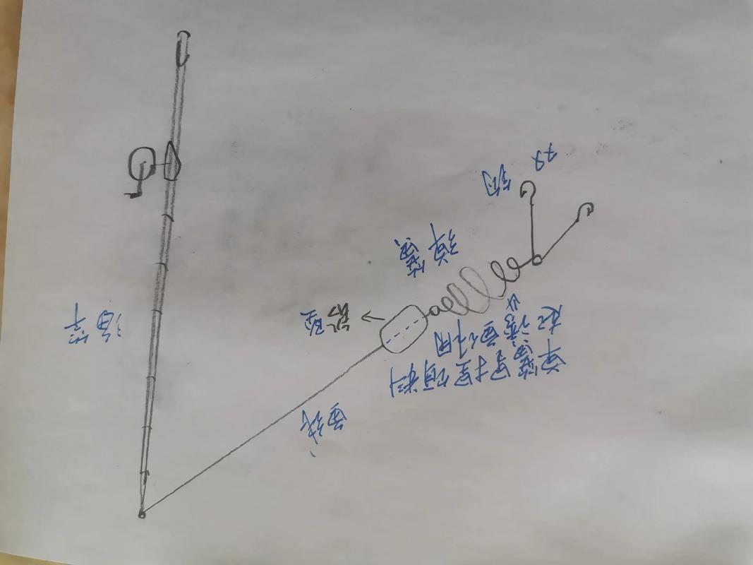 水庫釣鯉魚技巧_水庫海竿釣魚技巧視頻_自制魚餌配方