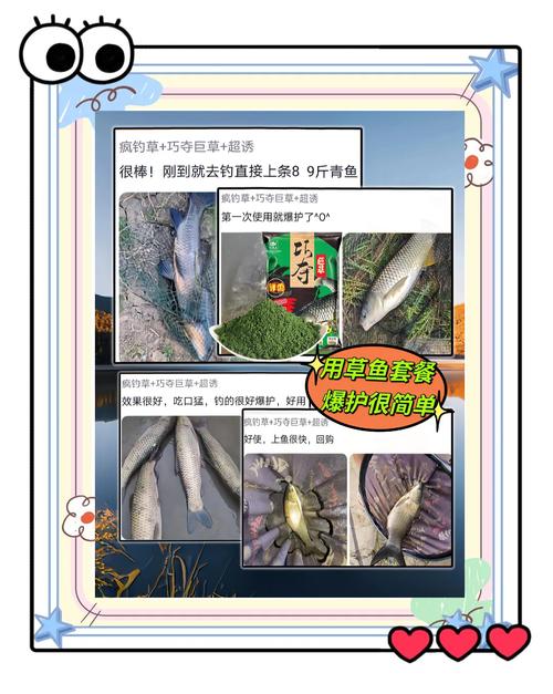 秋天釣草魚用什么餌料最好呢_自制餌料釣草魚_天然餌料釣草魚