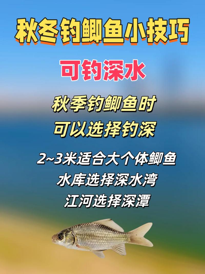魚塘秋季怎么釣魚_釣魚秋季魚塘放養技巧和方法_秋季放養魚塘釣魚技巧