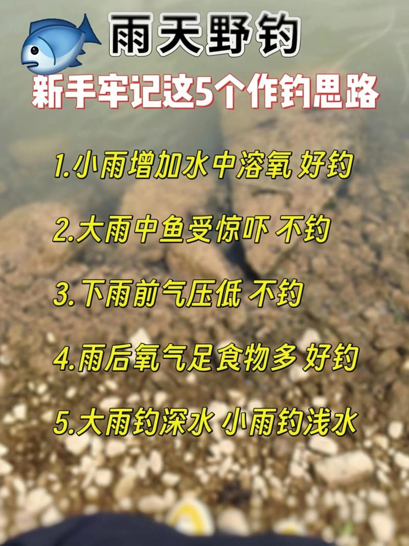 釣魚夏天雨前好釣嗎_釣魚夏天雨前可以釣嗎_夏天雨前釣魚