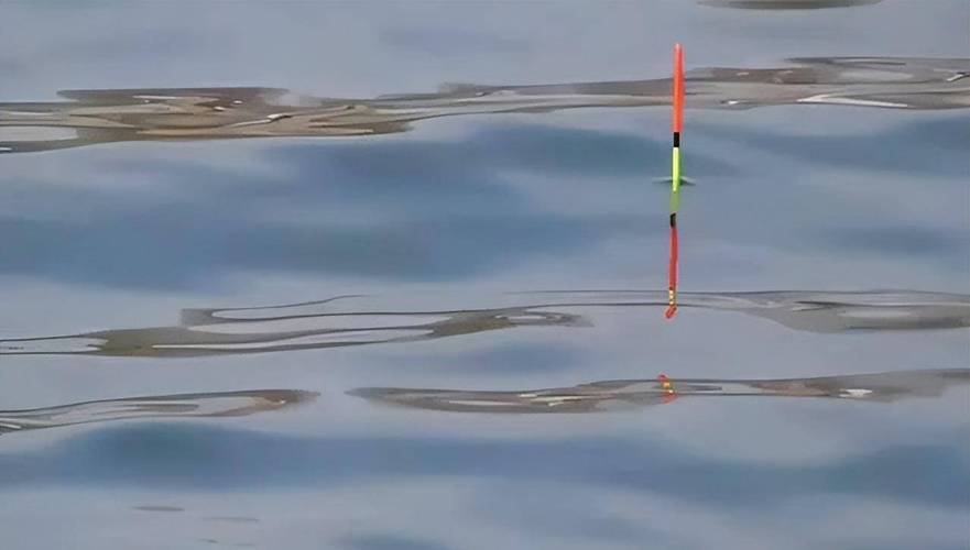 《程寧釣魚視頻》浮漂使用篇第三集必看_釣魚調漂方法_釣魚識漂技巧