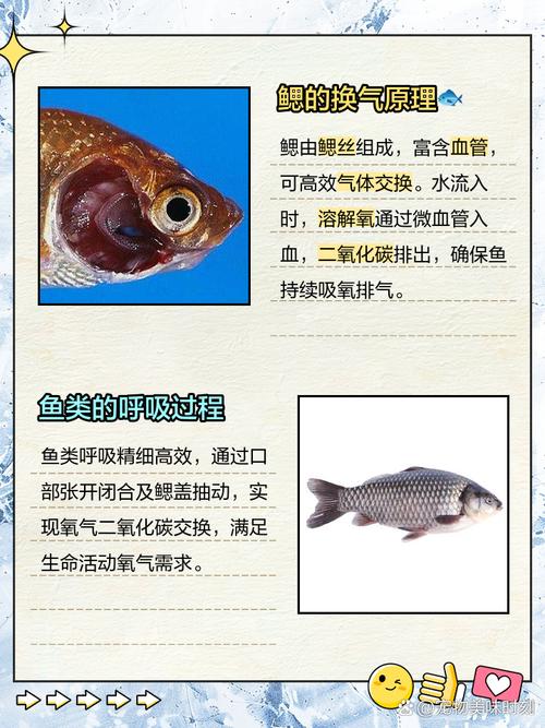 魚嘴巴一張一合在干嘛_魚嘴巴一張一合是在_魚兒嘴巴合在一起