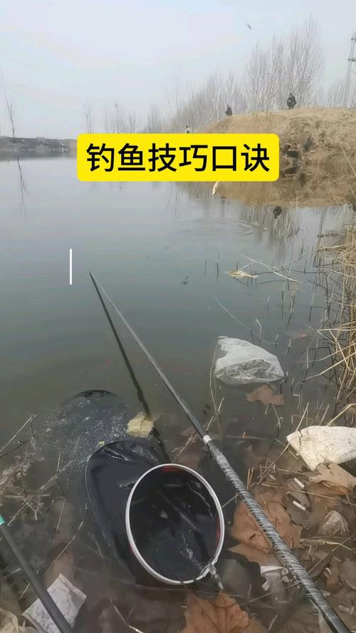 競技釣鯽魚比賽視頻_新版競技釣鯽法全集_《程寧釣魚視頻》競技釣鯽魚教學視頻第17集