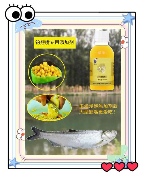 玉米面白面如何釣魚_釣魚玉米面制作秘方_玉米面加白面做魚餌
