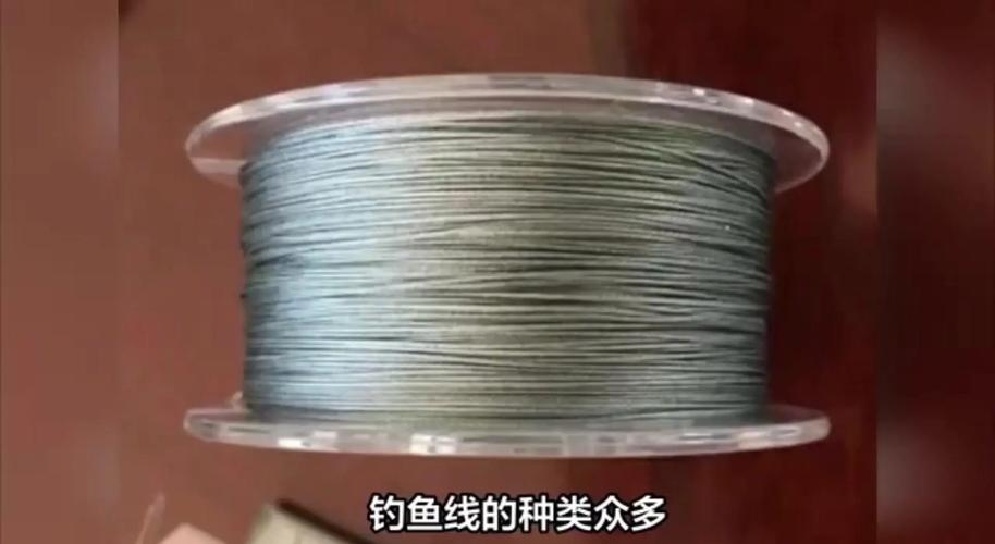 請教大力馬魚線跟普通尼龍線的對比_尼龍線和魚線哪個結實_尼龍魚線推薦