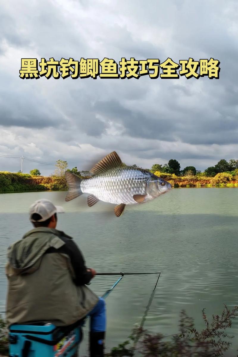 黑坑釣草魚用什么餌料釣底還是釣浮_黑坑釣魚釣點選擇_黑坑釣魚技巧攻略