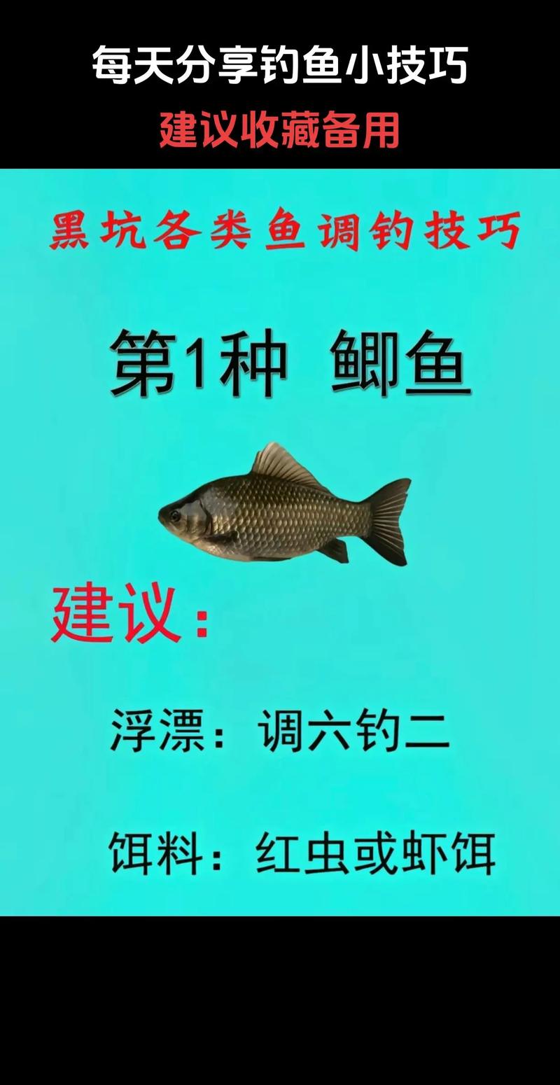 黑坑釣草魚用什么餌料釣底還是釣浮_黑坑釣魚釣點選擇_黑坑釣魚技巧攻略