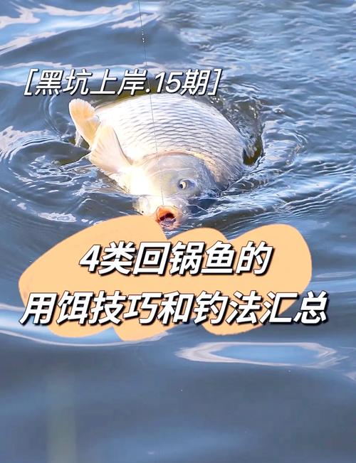黑坑釣魚釣點選擇_黑坑釣魚技巧攻略_黑坑釣草魚用什么餌料釣底還是釣浮