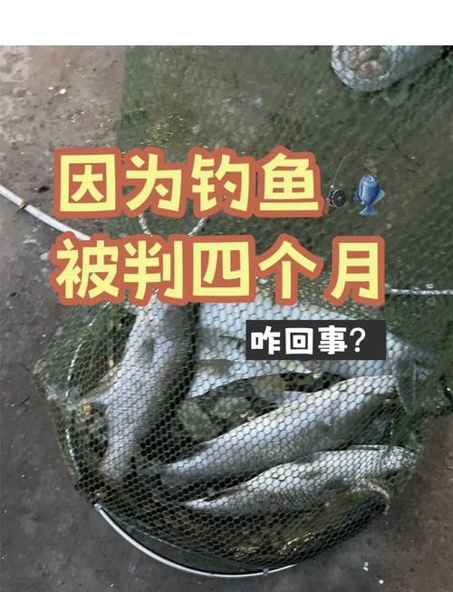 泥鰍打窩釣魚技巧_泥鰍釣魚視頻教程_泥鰍打窩釣魚違法嗎