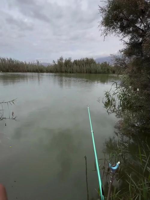 江河釣魚視頻_河流釣魚視頻_長江釣魚視頻-_江河釣魚釣位選擇_江河釣魚魚竿種類選擇