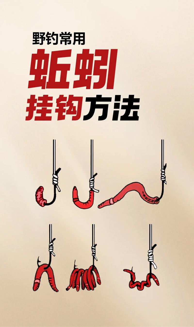 草窩野釣蚯蚓釣魚技巧_不同季節蚯蚓掛鉤方法_蚯蚓釣魚技巧
