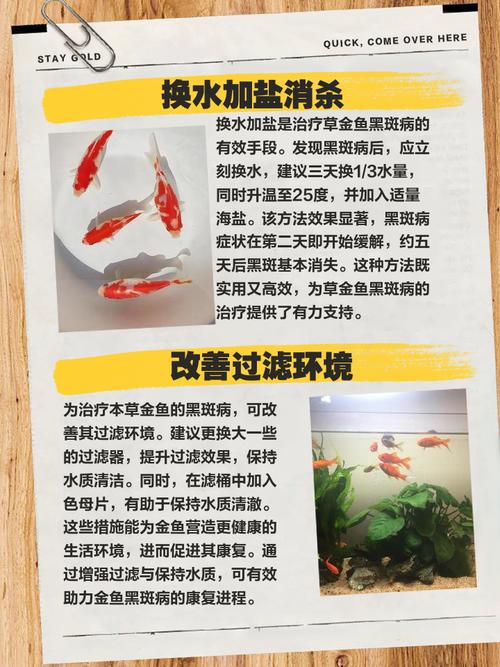 qq掛機網站永久在線_草魚5CC網站永久_五月色播在線永久網站