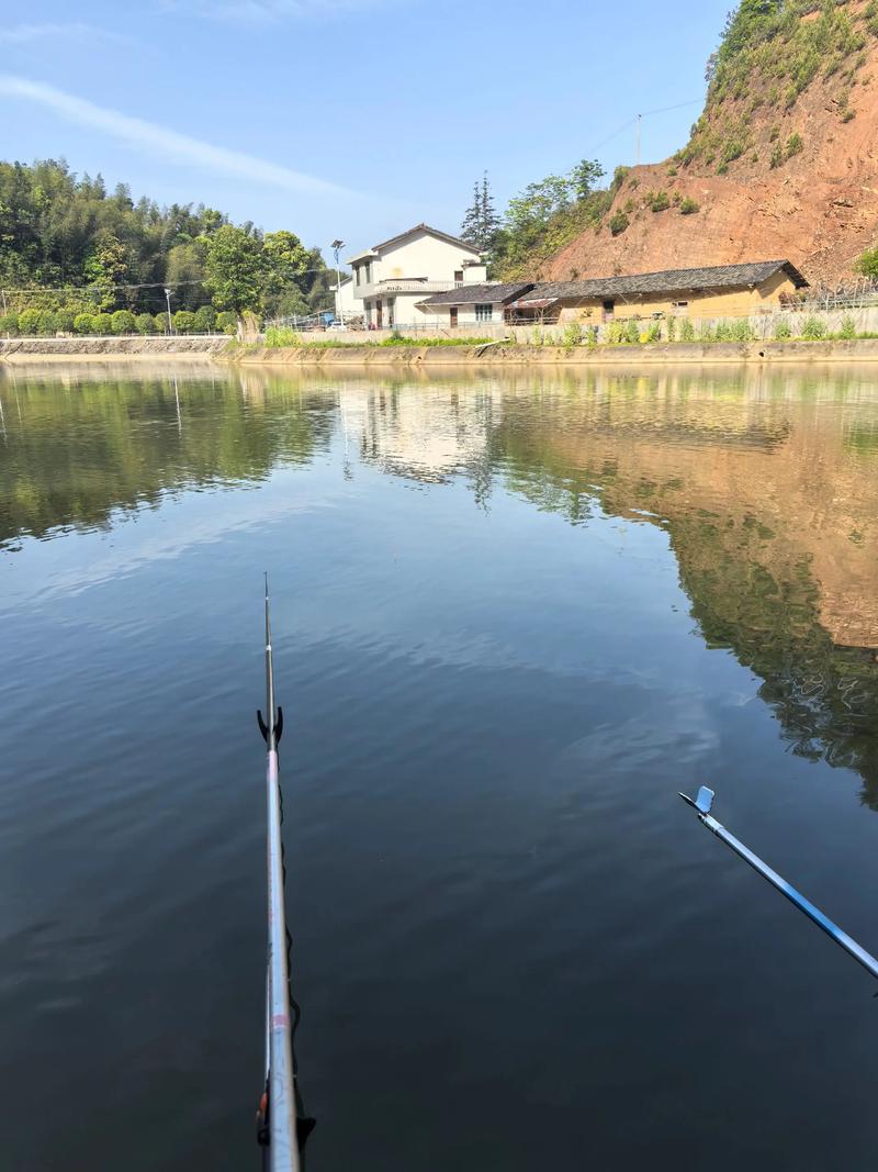 朱莊水庫有什么魚_朱莊水庫魚種_朱莊水庫釣魚之家