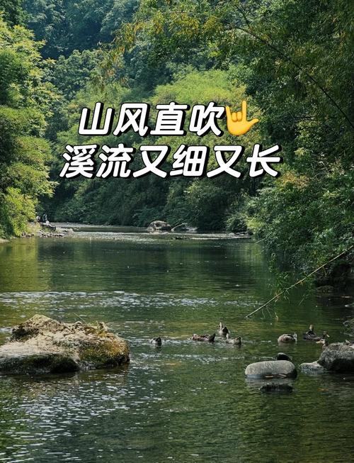 鄭州附近好去處：新密李灣、滎陽丁店、中牟雁鳴湖垂釣指南