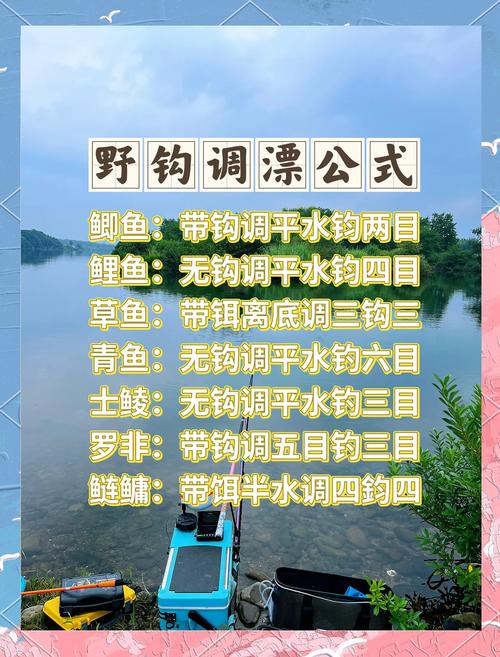 野釣為什么不好釣_野釣調漂技巧_餌重對調漂的影響