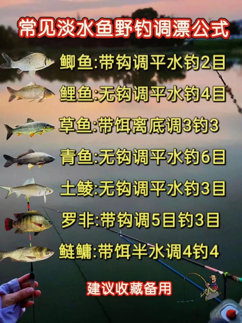 野釣為什么不好釣_野釣調漂技巧_餌重對調漂的影響