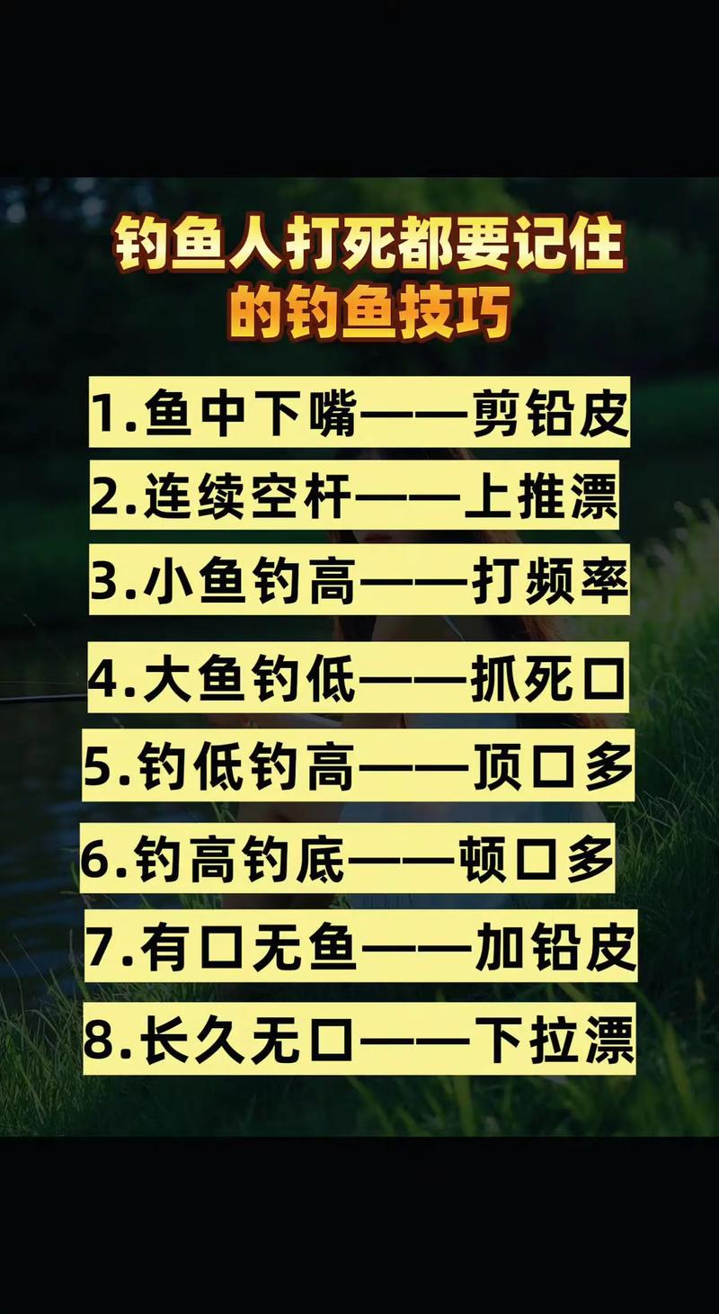 游釣四海_四海釣魚網釣魚技巧_四海釣魚的視頻