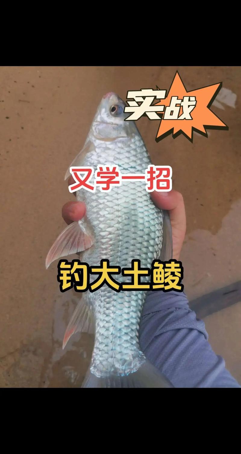 釣點深度季節因素_野釣鯪魚_學選位野釣鯪魚