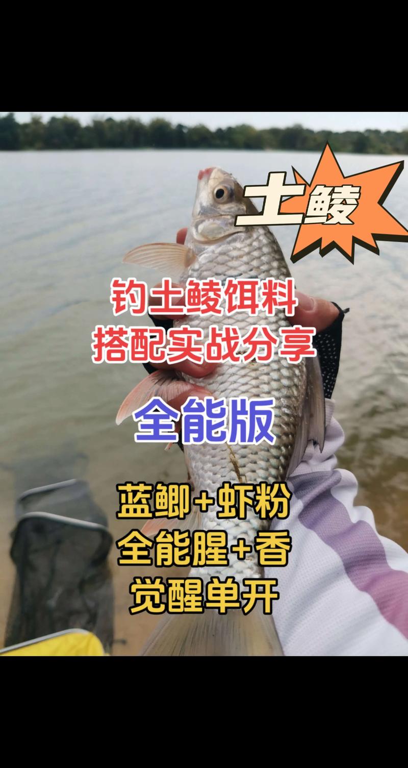 釣點深度季節因素_學選位野釣鯪魚_野釣鯪魚