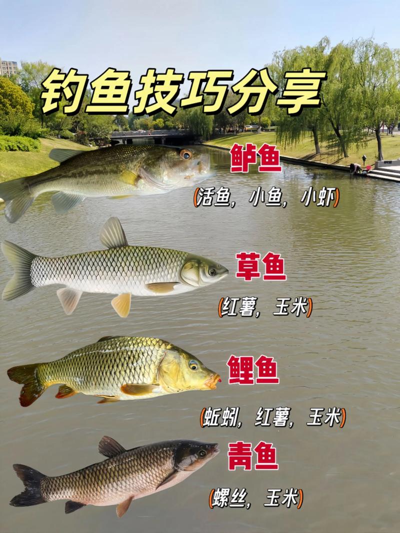 鴨嘴魚如何垂釣_鴨嘴魚科普_請教一下各位大神目標魚鯧魚鴨嘴魚怎么釣